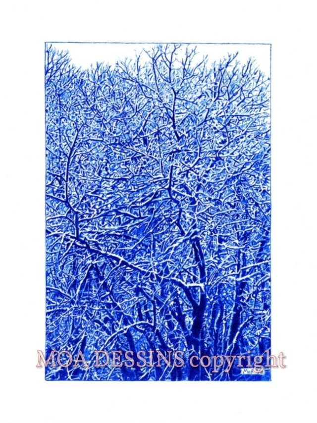 Arbres à Bertrand Blue