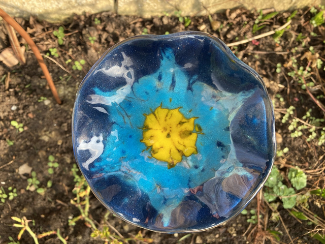 Blue garden flower