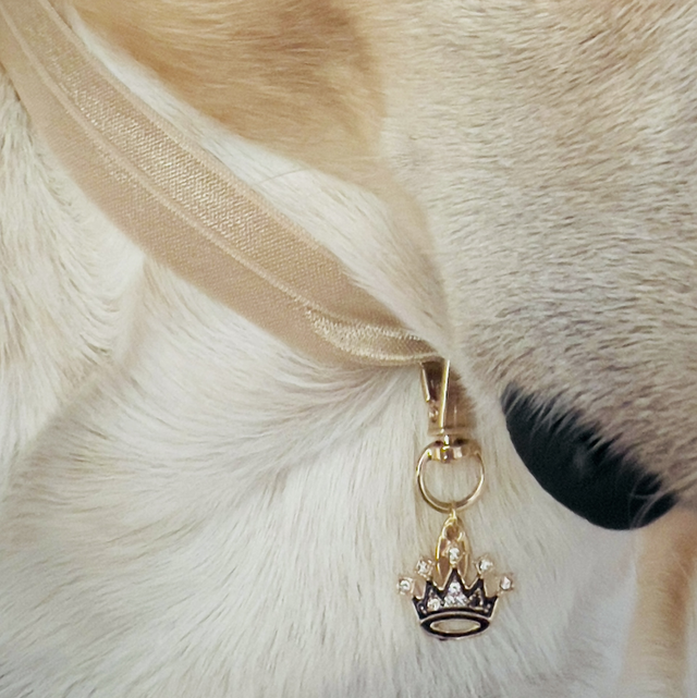COLLIER DOG CHIC CHIC ( Taille S ) 