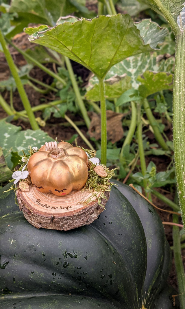 Patty la citrouille 🎃🧡