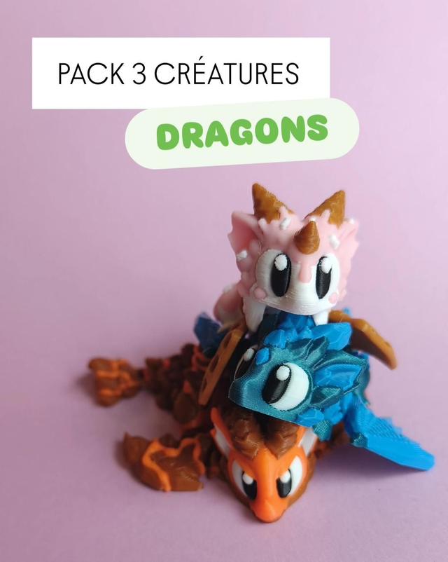 Pack 3 créatures - DRAGONS