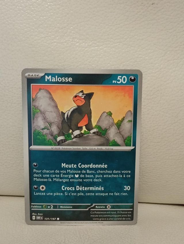 Carte pokémon Malosse