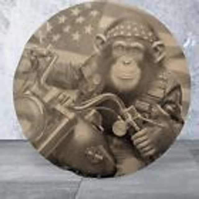 Slate Coaster Round- Chimp on a Bike