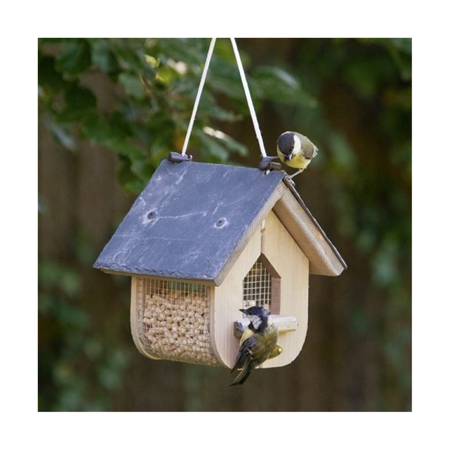 Bird Boxes