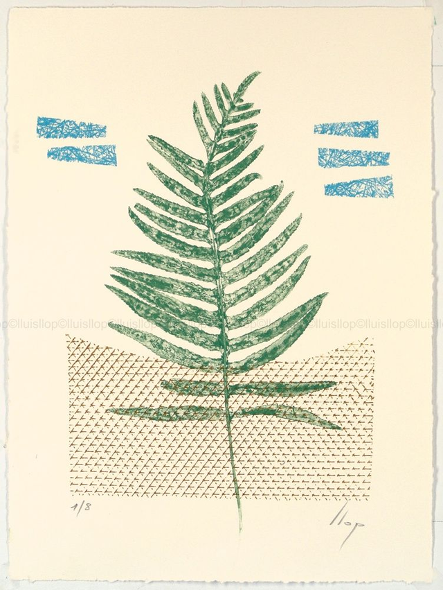 grabado original 38x28 - fondo minimalista y estampación de hojas naturales de helecho