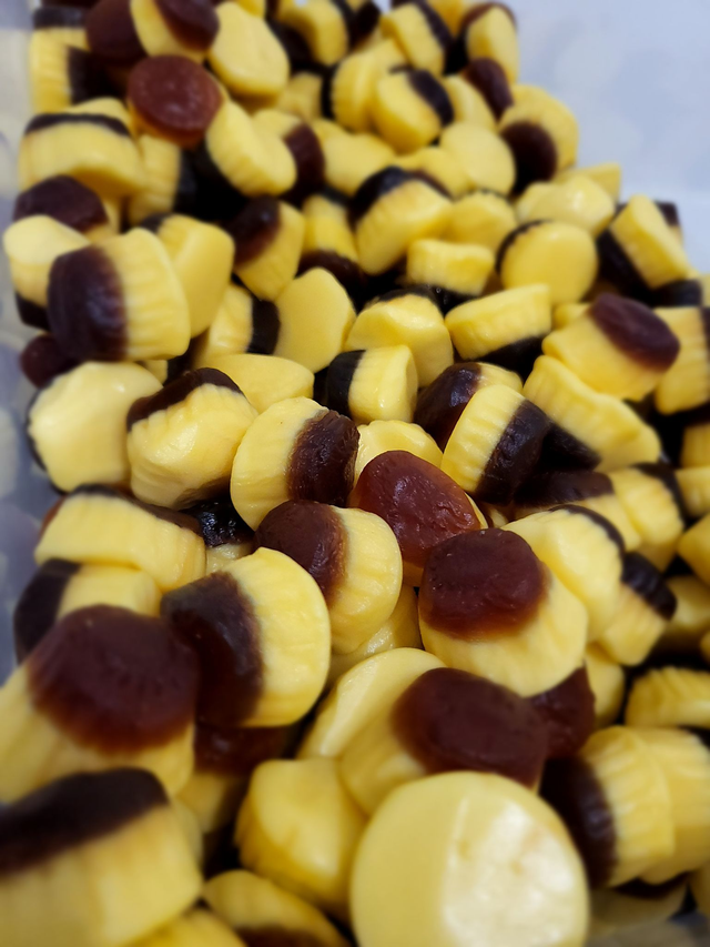 Flans caramel gel (100g) halal