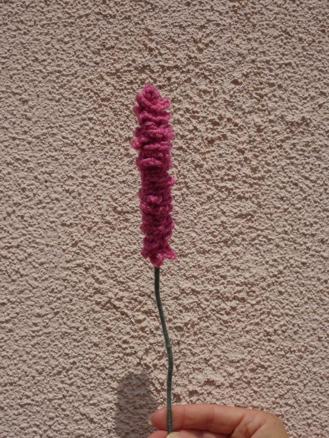 Lavande rose framboise