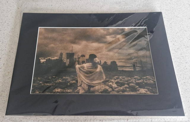 Toned Cyanotype Montage A4 Mounted