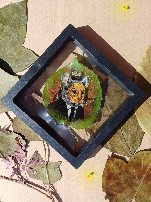 Chinchilla, Squid Game &amp; vip