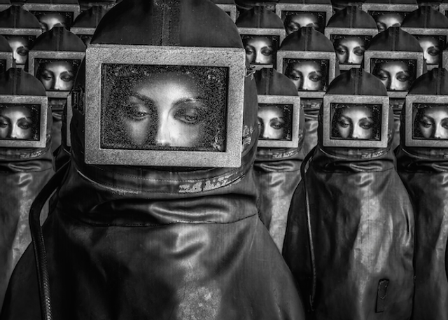 Live Jolt Walk on the wild side