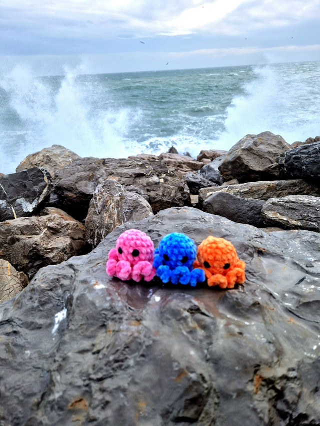 Portes Clés Poulpes