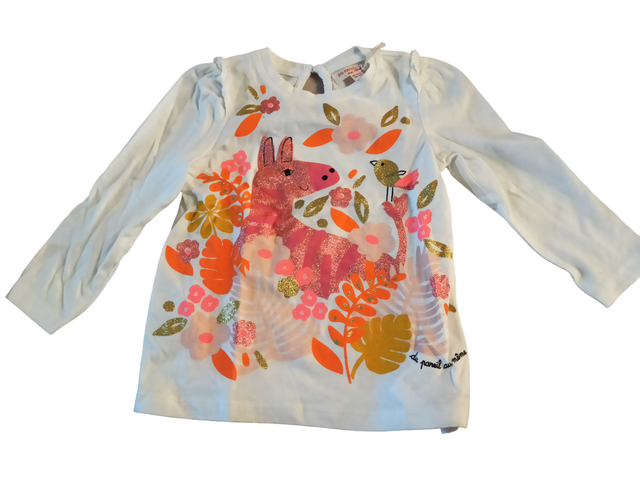 Tee-shirt manches longues 24 mois (Du pareil... au même)