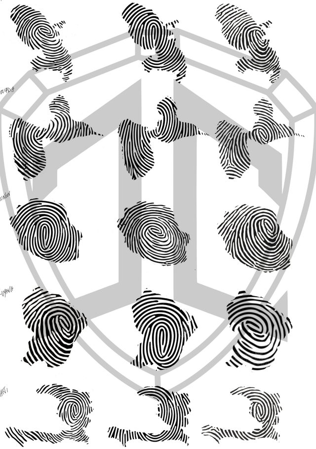 Cartes Flash Empreinte