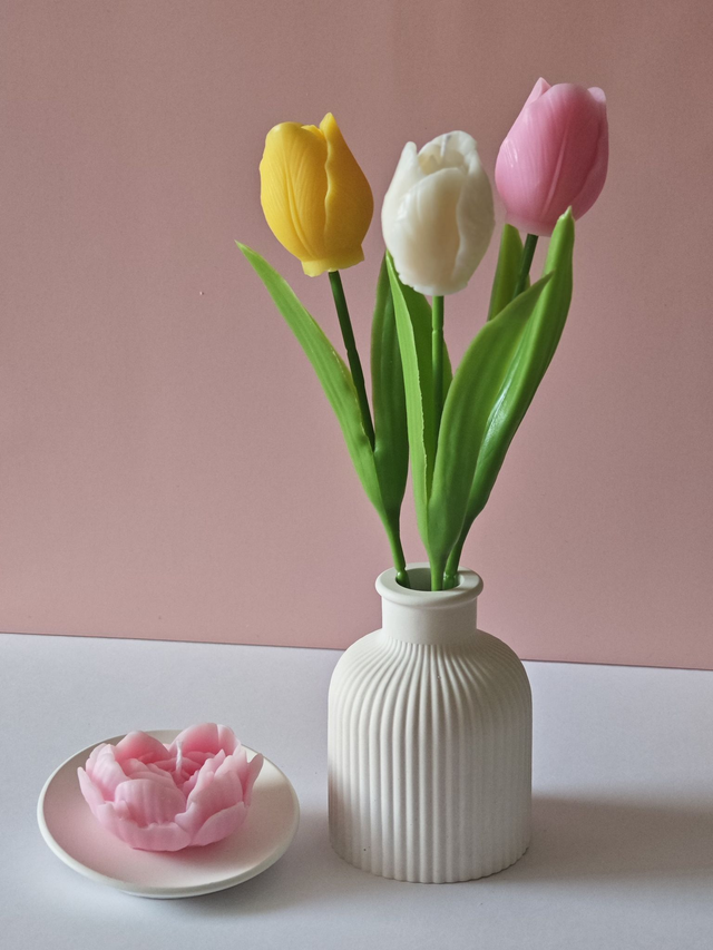 Tulipe Parfumée