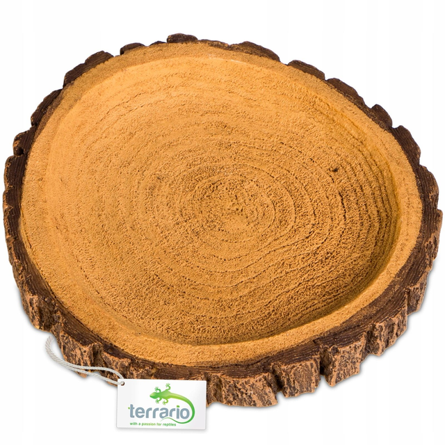 Terrario Tree Ring Bowl M – Miska do terária 12x11x1,5 cm