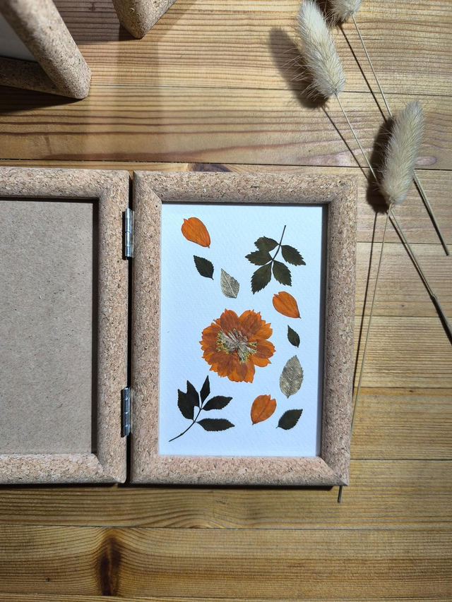 Herbier/Cadre photo liège