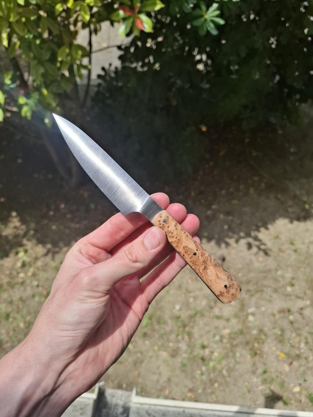 Office - Loupe de bois de cade