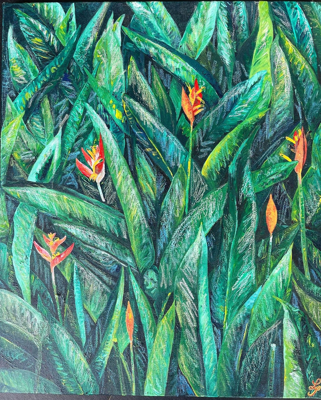 Plantes de la savane