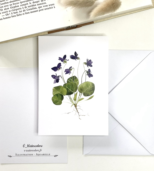 Carte postale « Violettes »