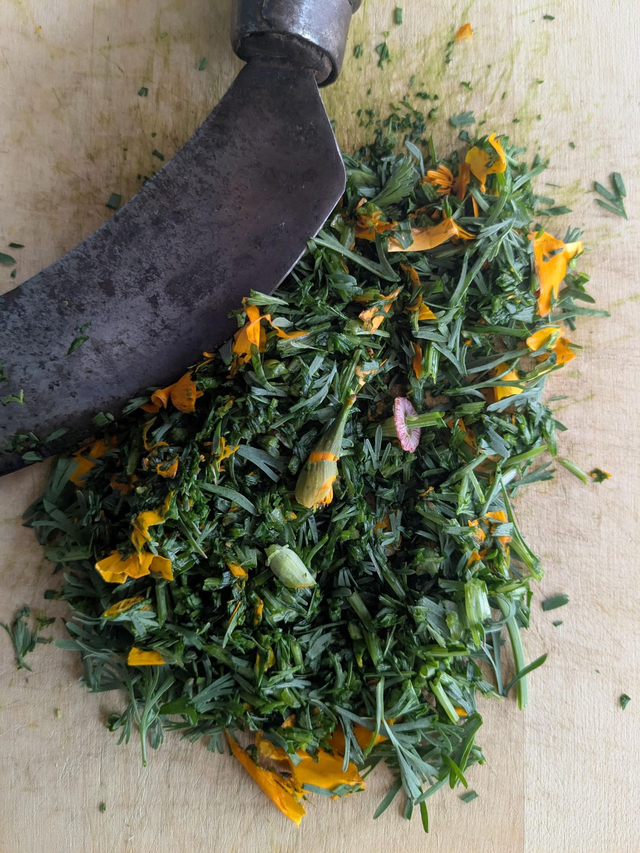 Alcoolature Pavot de californie