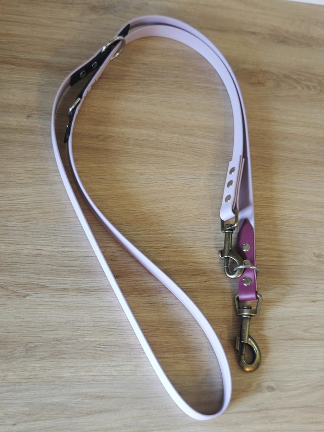 Laisse 19mm Multi position biothane 