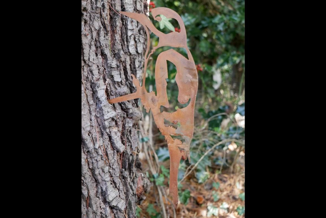 Woodpecker Bird Tree Spike