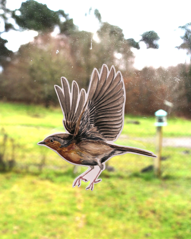 Sticker électrostatique - Le Rougegorge familier