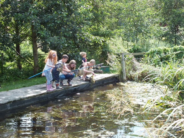Pond Dipping - Thursday 2nd April