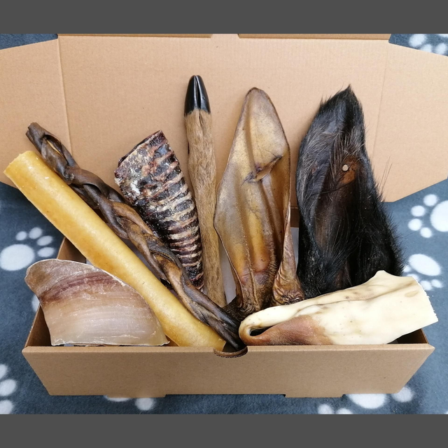 Large Breed/Tough Chews Box 