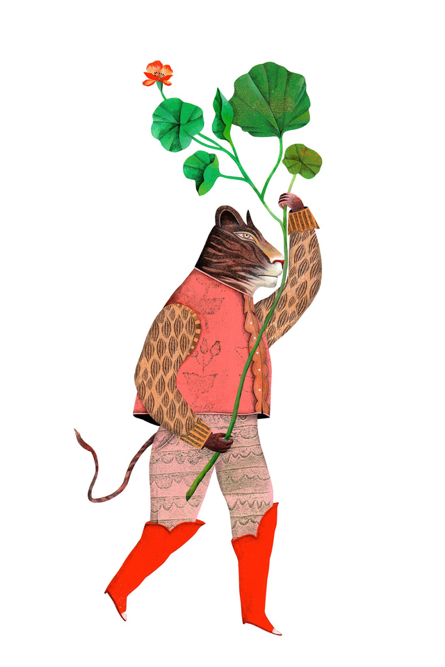 Tigre bottes rouges - Tirage d'art 