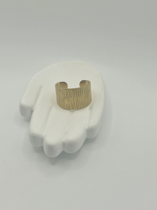 Stainless Steel Ring (SSR138J)