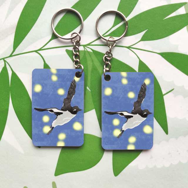 Oiseaux