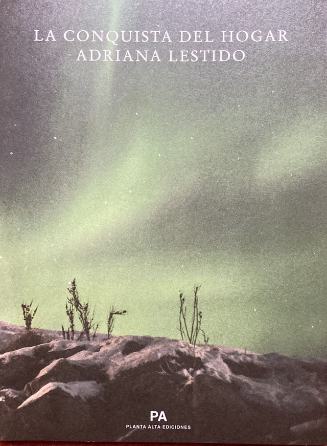 La conquista del hogar - Adriana Lestido