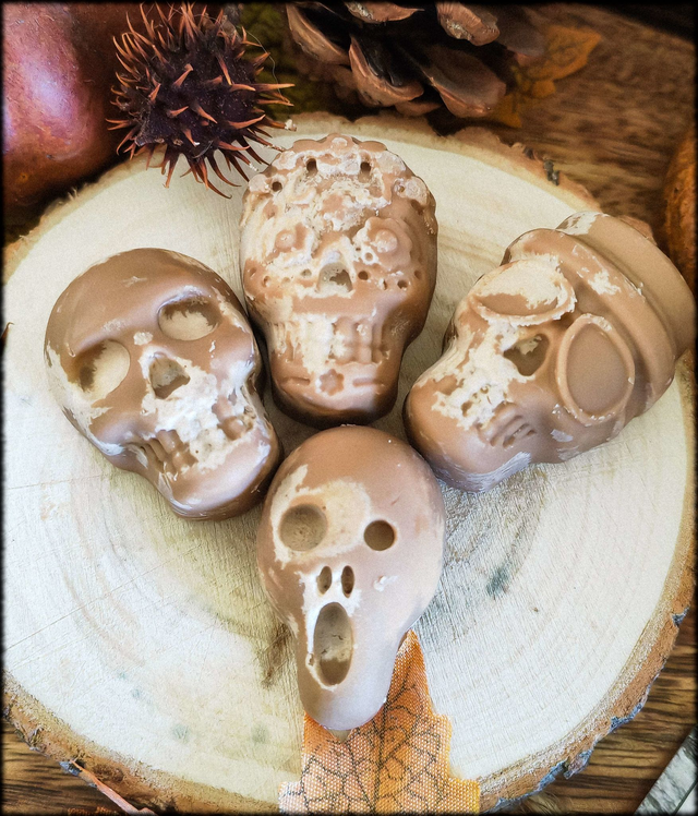 Têtes de morts senteur Spéculoos