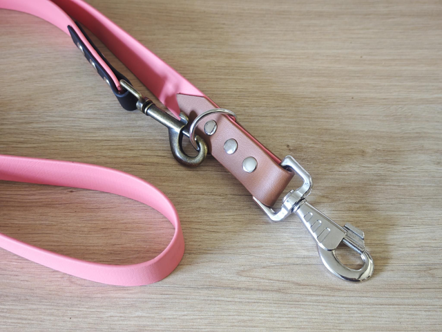 Laisse 25mm Multi position