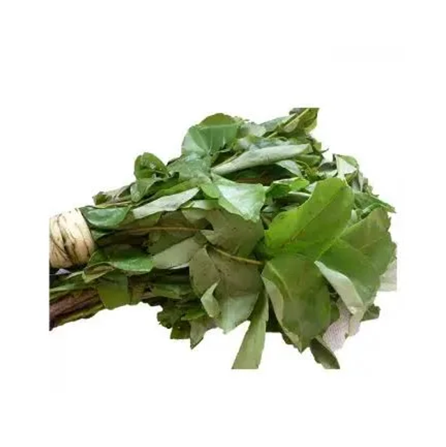 Fresh Oha leaf- per tie 
