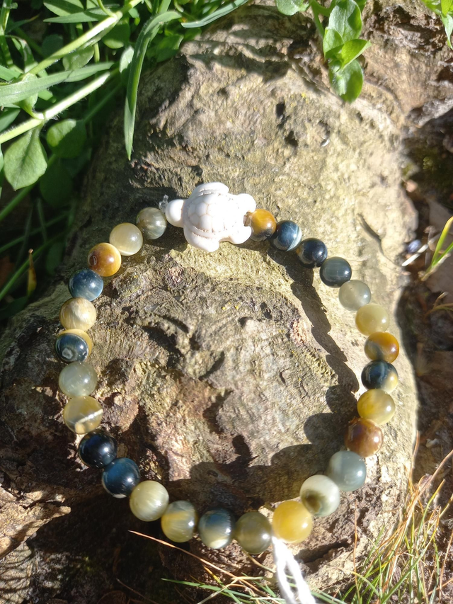 Tigre Blanc 6mm et tortue