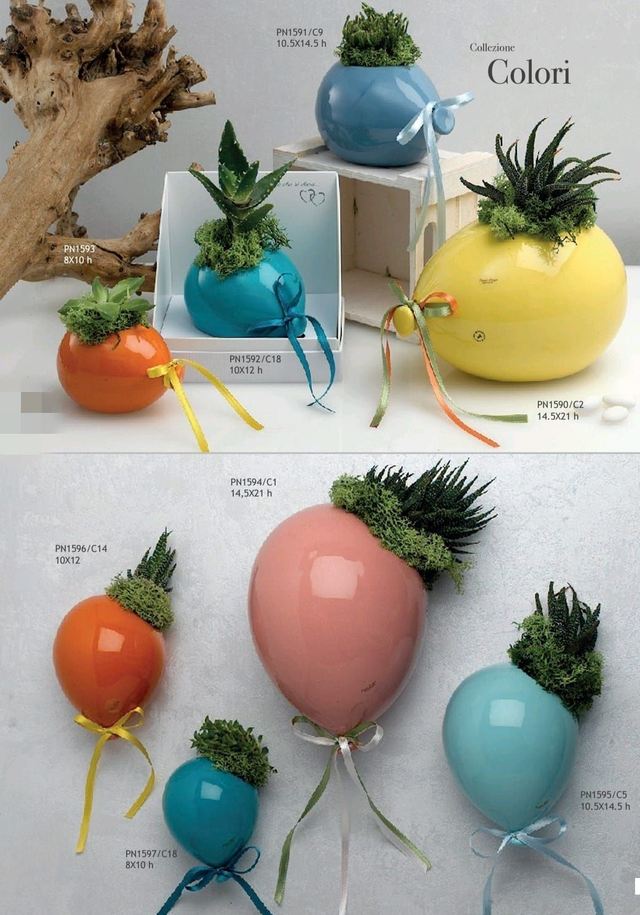 Palloncini con pianta vera