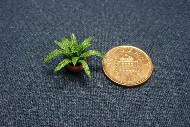 Fern (1/24th scale)
