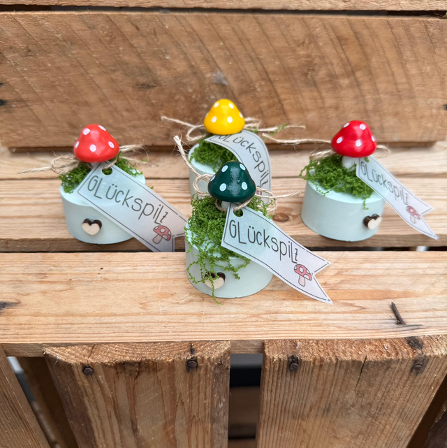 Kleine Glückspilze – große Wirkung 🍀