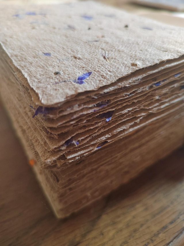 Cartes postales ensemencées 