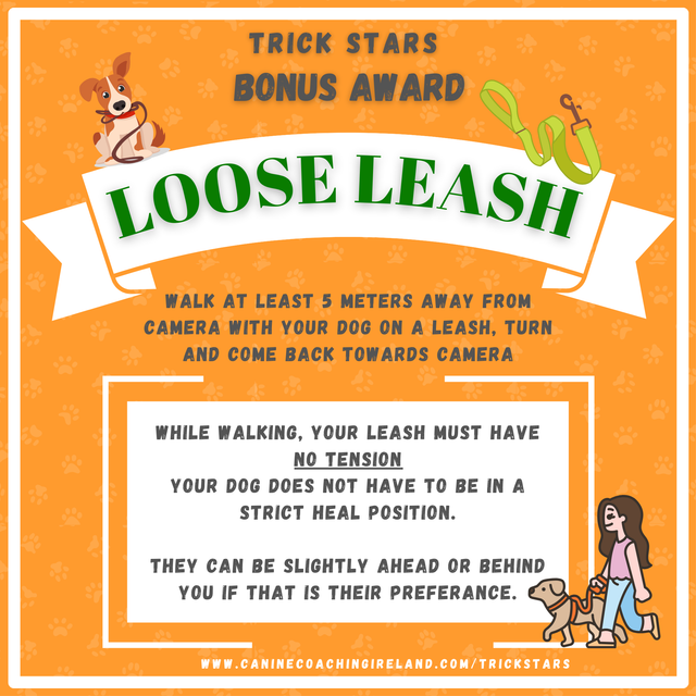 Loose Leash - Cert & Rosette