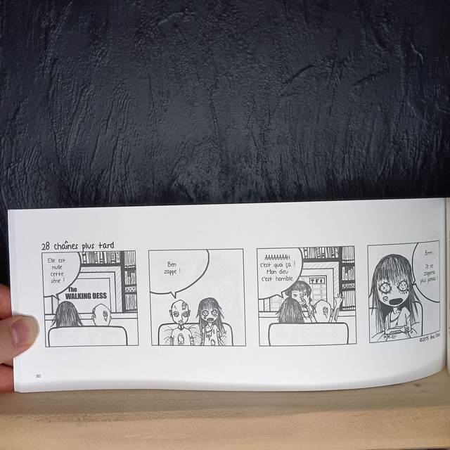 Ana Dess se plie en 4 - Tome 2 - L'envol