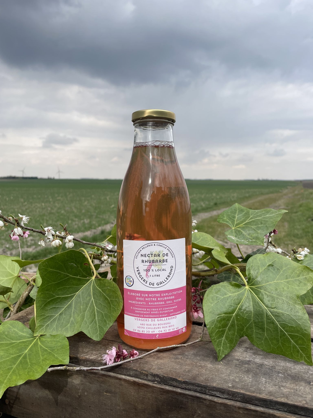 Nectar de Rhubarbe 100% local