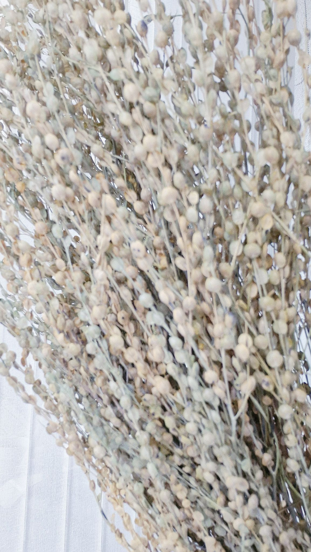 Vide atelier - Cresson naturel