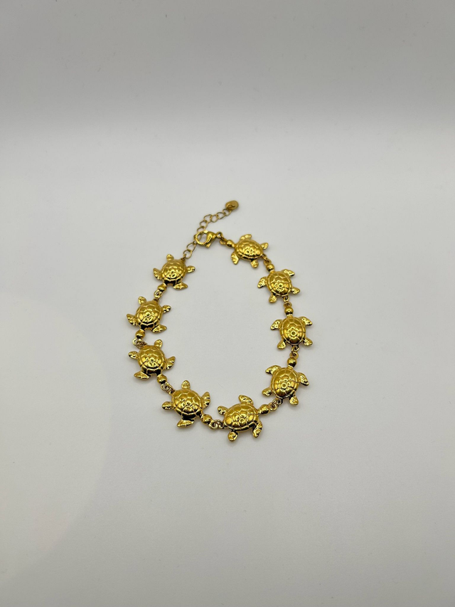 Stainless Steel Anklet (SSAN12J)