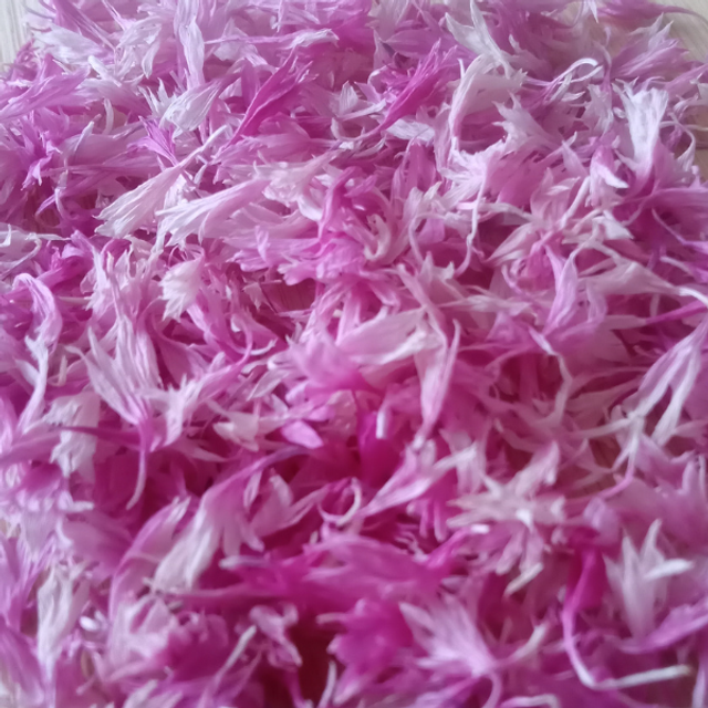 Pétales roses