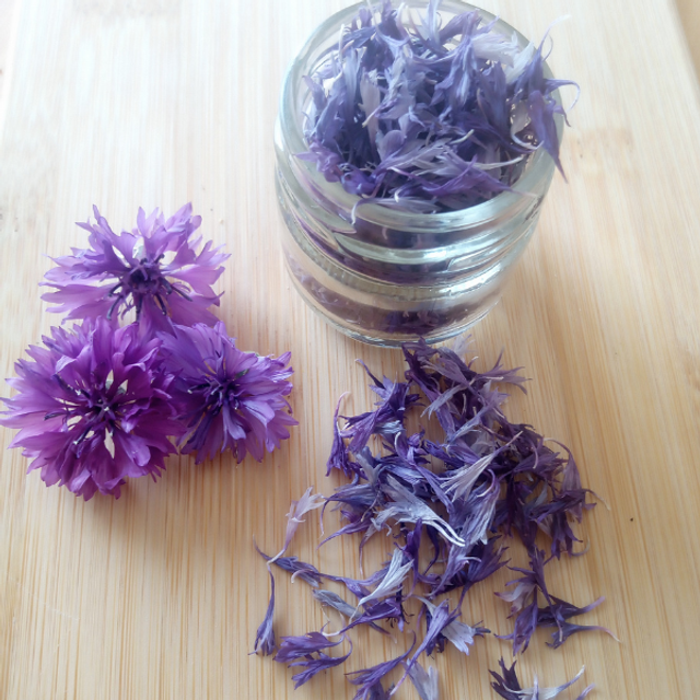 Pétales mauve
