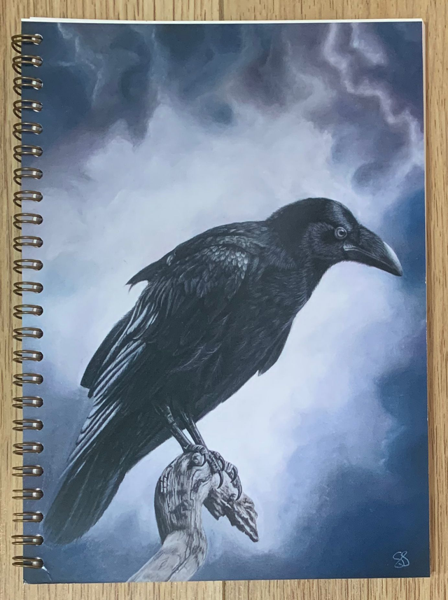 Notebook - Raven