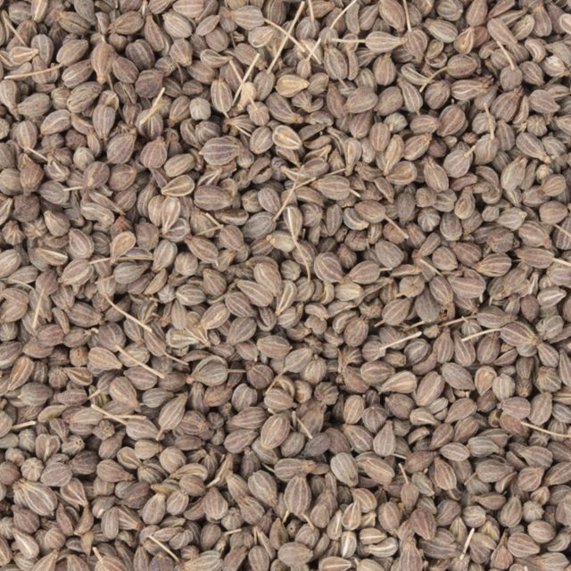 Anijszaad (Pimpinella anisum) - BIO